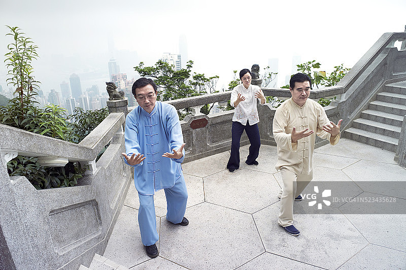 太极拳大师和学生们练习武术图片素材