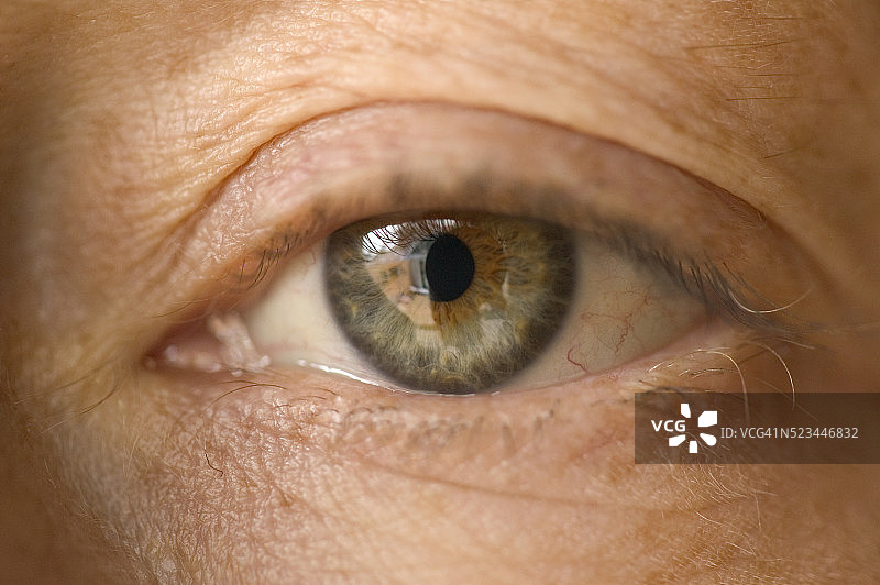 女人的眼睛图片素材