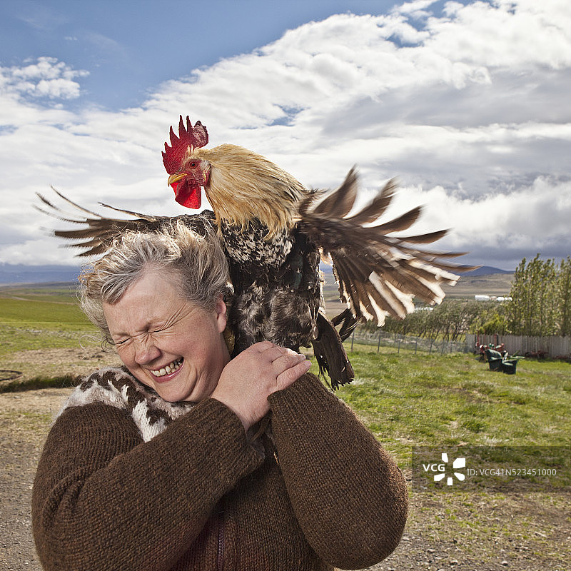 在冰岛与母鸡合影的女人图片素材