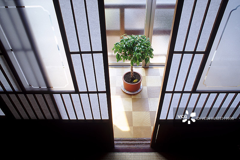 纱门之间的植物图片素材