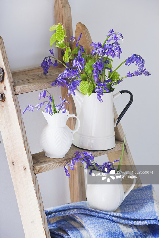 英国赫特福德郡的克内布沃思公园图片素材