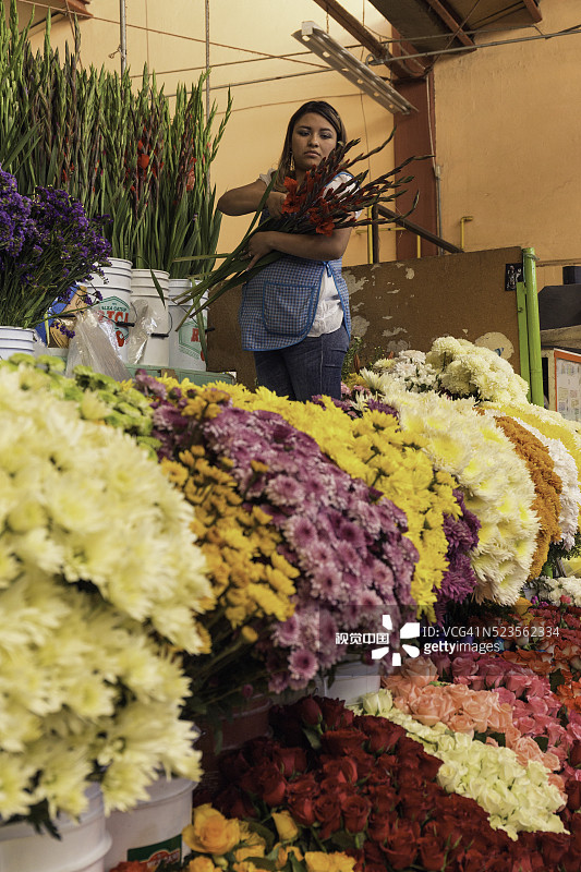 墨西哥圣米格尔德阿连德的传统市场图片素材