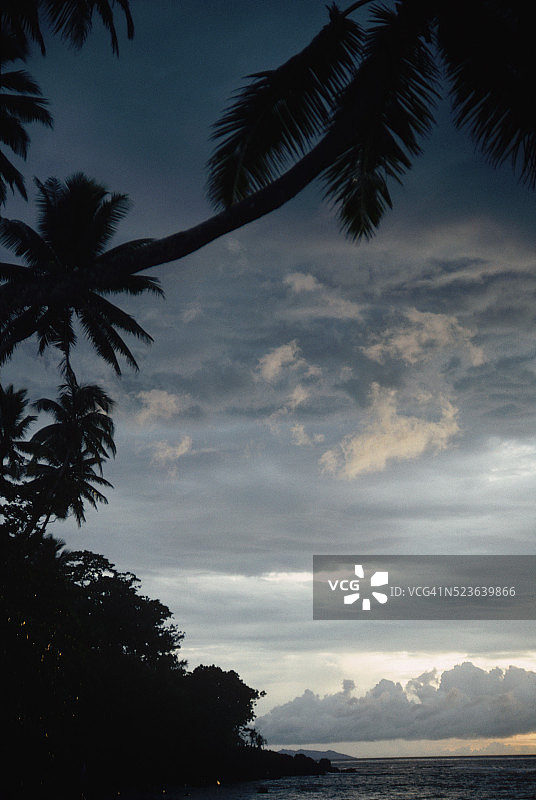 多云天空下的棕榈树剪影图片素材