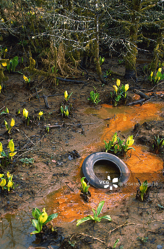 臭菘中的轮胎图片素材