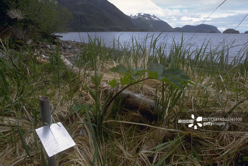 奈特岛海岸图片素材
