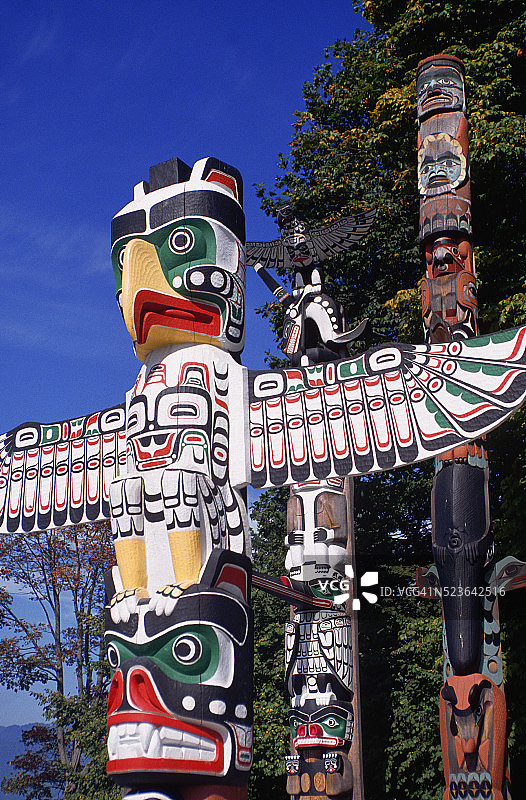 斯坦利公园的图腾柱图片素材