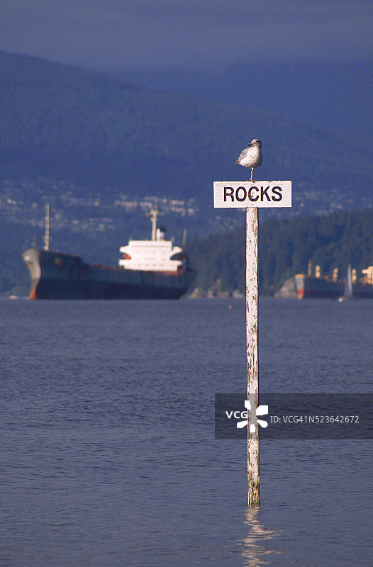 海洋警告标志上的海鸥图片素材