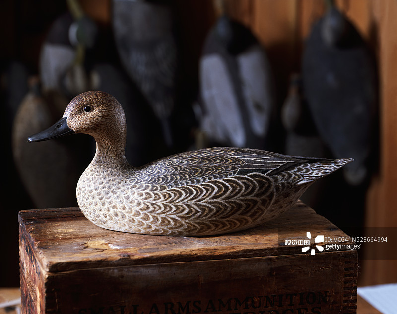 木制母鸡针尾诱饵图片素材