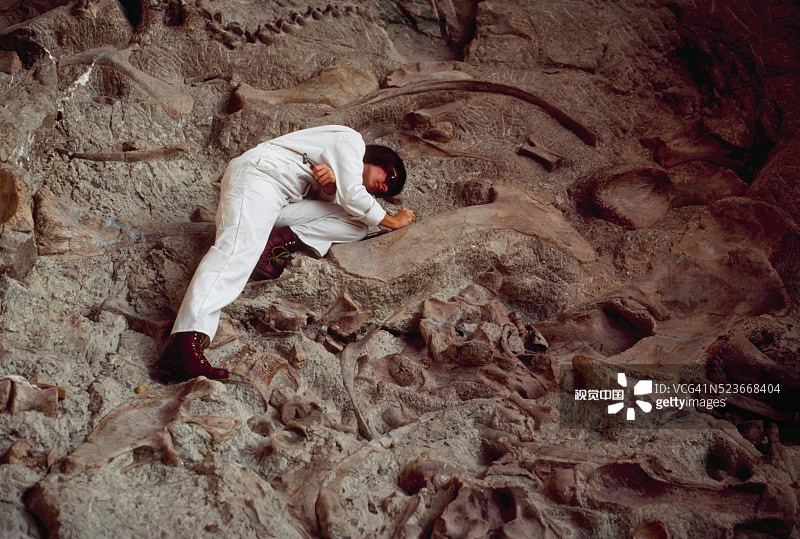 公园管理人员挖掘恐龙骨骼化石图片素材