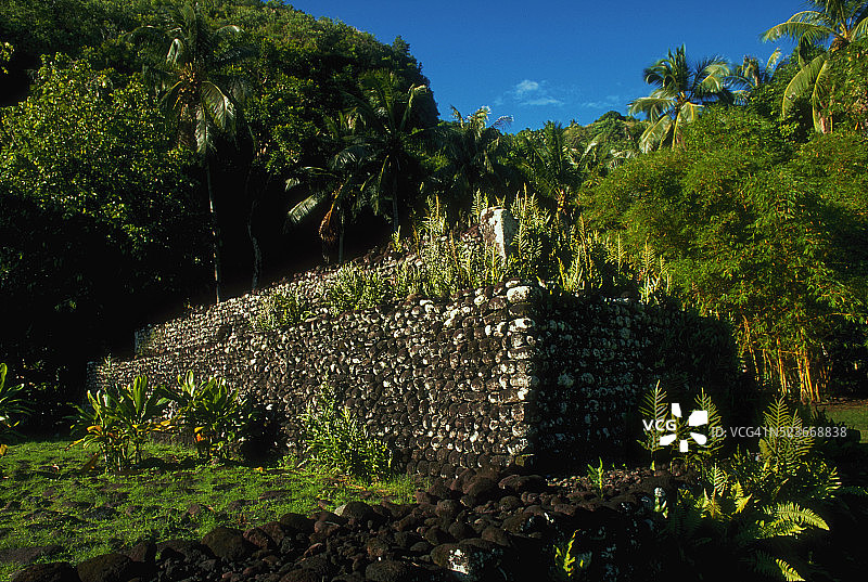 覆盖树叶的石头祭坛图片素材