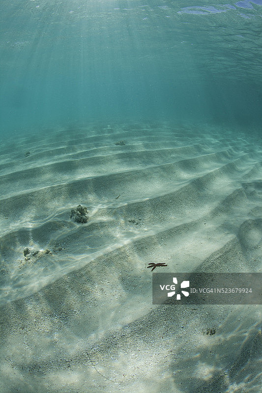 库莱布拉岛的水下世界图片素材