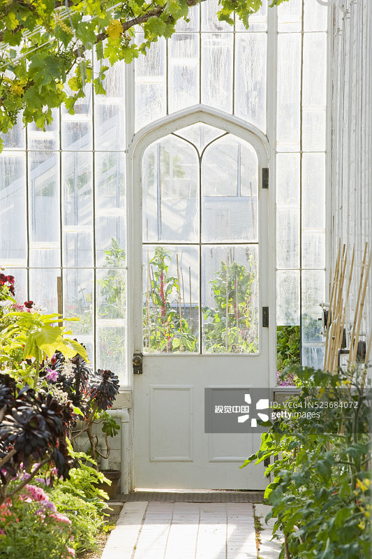 西萨塞克斯阿伦德尔城堡花园：收藏家伯爵花园，温室内部-VI图片素材