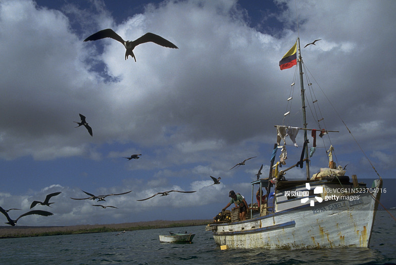 渔民从船上撒网图片素材