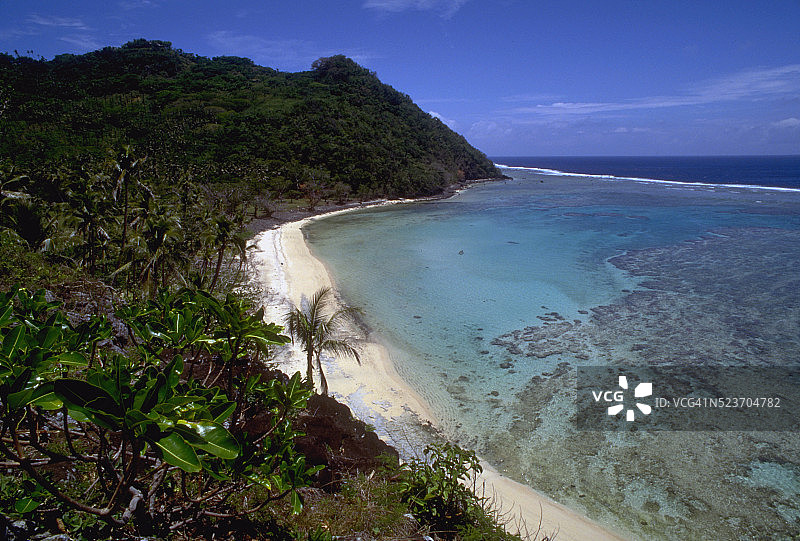 俯瞰海滩的棕榈树图片素材