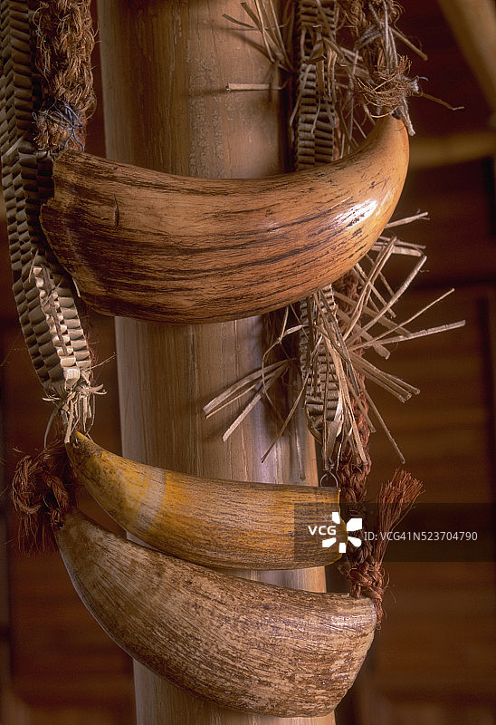 鲸鱼牙齿串联图片素材