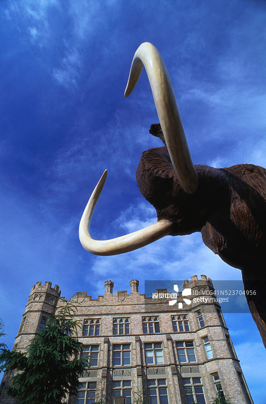 加拿大自然博物馆图片素材