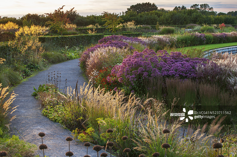 威斯利英国皇家园艺学会花园：湖边汤姆·斯图尔特-史密斯的花境-九月，暮光，针茅图片素材