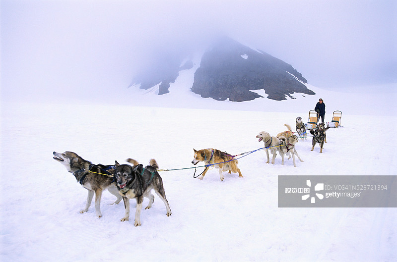 狗拉雪橇穿越冰川图片素材
