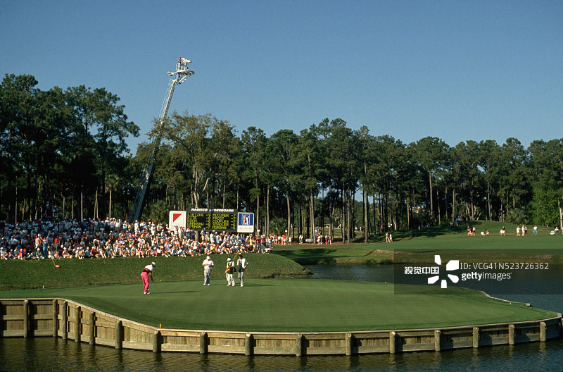 锯齿草TPC高尔夫球场图片素材