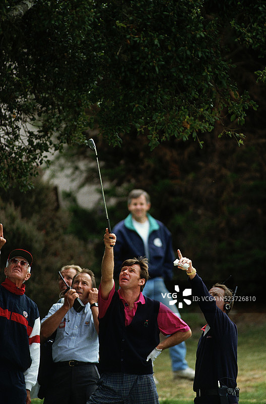 尼克·佛度与官员指向树上的高尔夫球图片素材