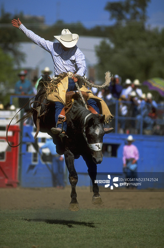 牛仔骑野马图片素材