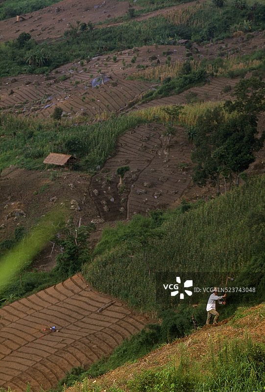 泰国山坡上的耕地图片素材