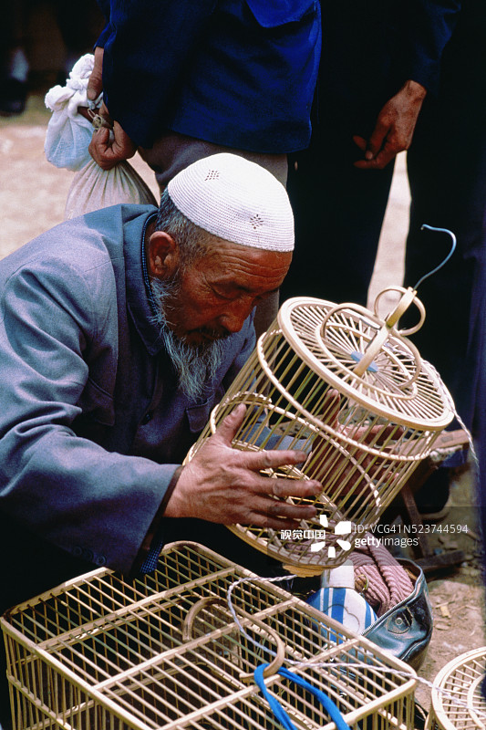 购买鸟笼图片素材