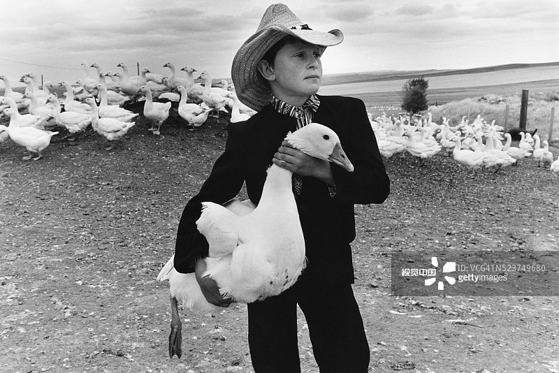 带鹅的胡特男孩图片素材