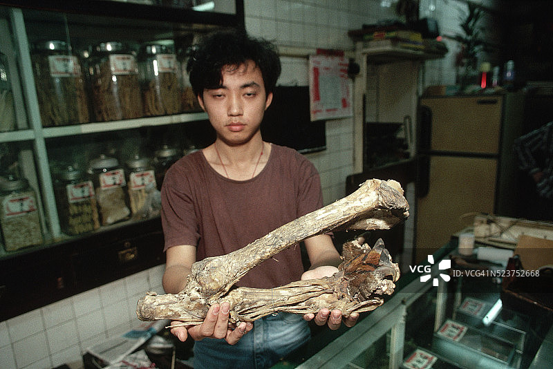 草药师拿着孟加拉虎的骨头图片素材