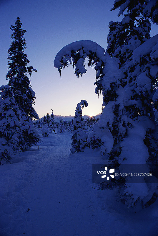 越野滑雪道图片素材