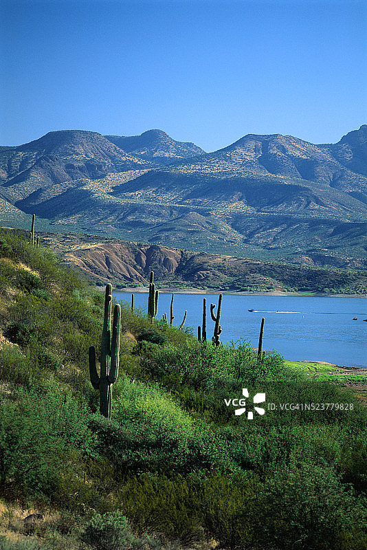 西奥多·罗斯福湖图片素材