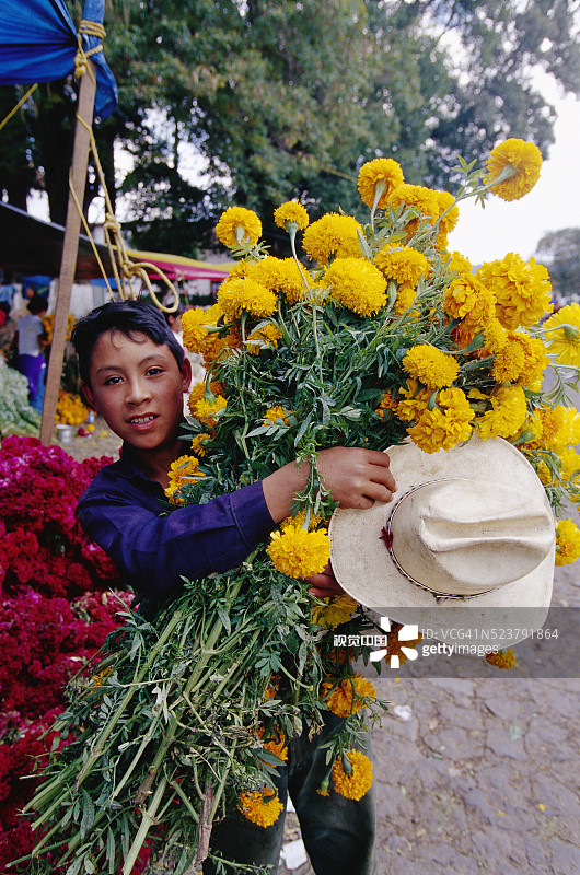 为亡灵节献花的男孩图片素材