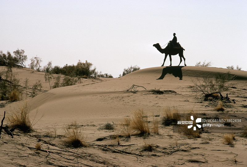 在土库曼斯坦卡拉库姆沙漠巡逻的骆驼骑兵图片素材