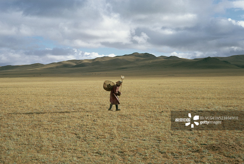收集粪便的蒙古族女人图片素材