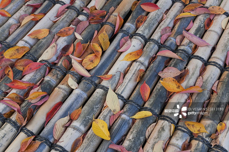 日本京都本法寺庭院图片素材