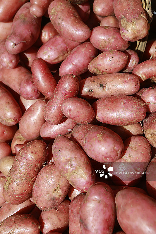 马萨诸塞州波士顿南站农贸市场出售的土豆图片素材