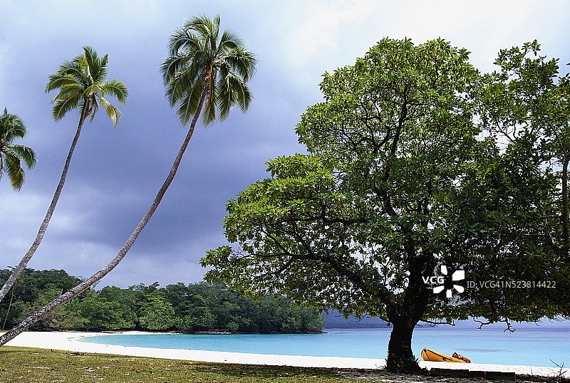香槟海滩上树木附近的充气艇图片素材