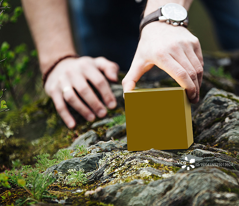 森林中石头和苔藓上的魔法礼物图片素材