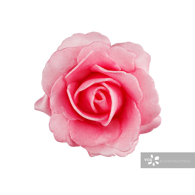 花孤立在白色上图片素材