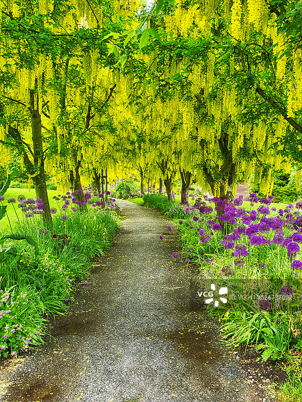 范杜森花园的春季花卉图片素材