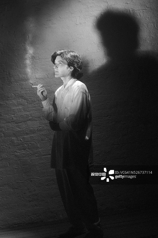 1986年的流行偶像戴维·西尔维安图片素材