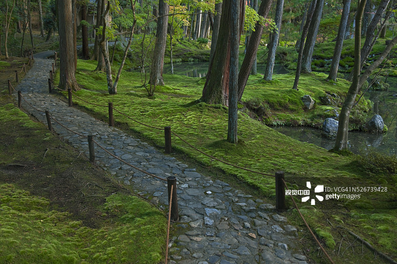 日本京都西芳寺禅寺的苔藓花园小路图片素材