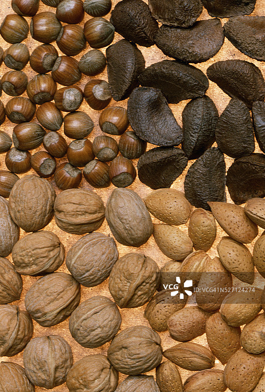 四种坚果图片素材