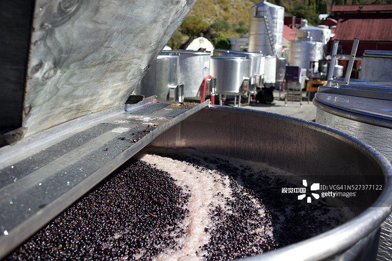 皇后镇吉布斯顿山谷葡萄园和奶酪店，新西兰图片素材