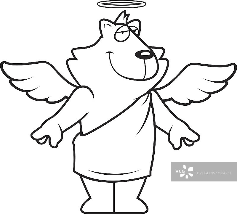 天使猫图片素材