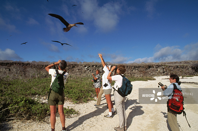 游客观看红脚鲣鸟图片素材