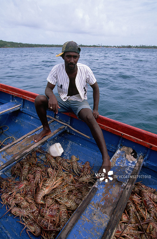 龙虾捕捞图片素材