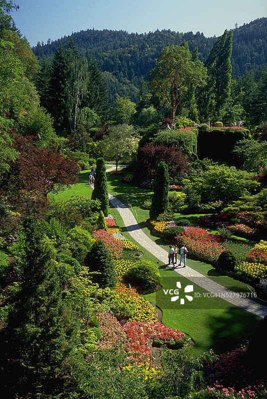 夏日沉没花园图片素材