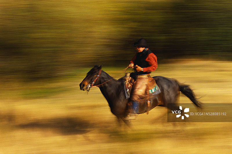 骑在飞驰骏马上的牛仔图片素材
