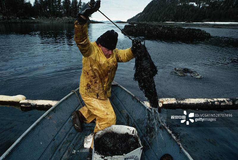 渔民清理漏油图片素材